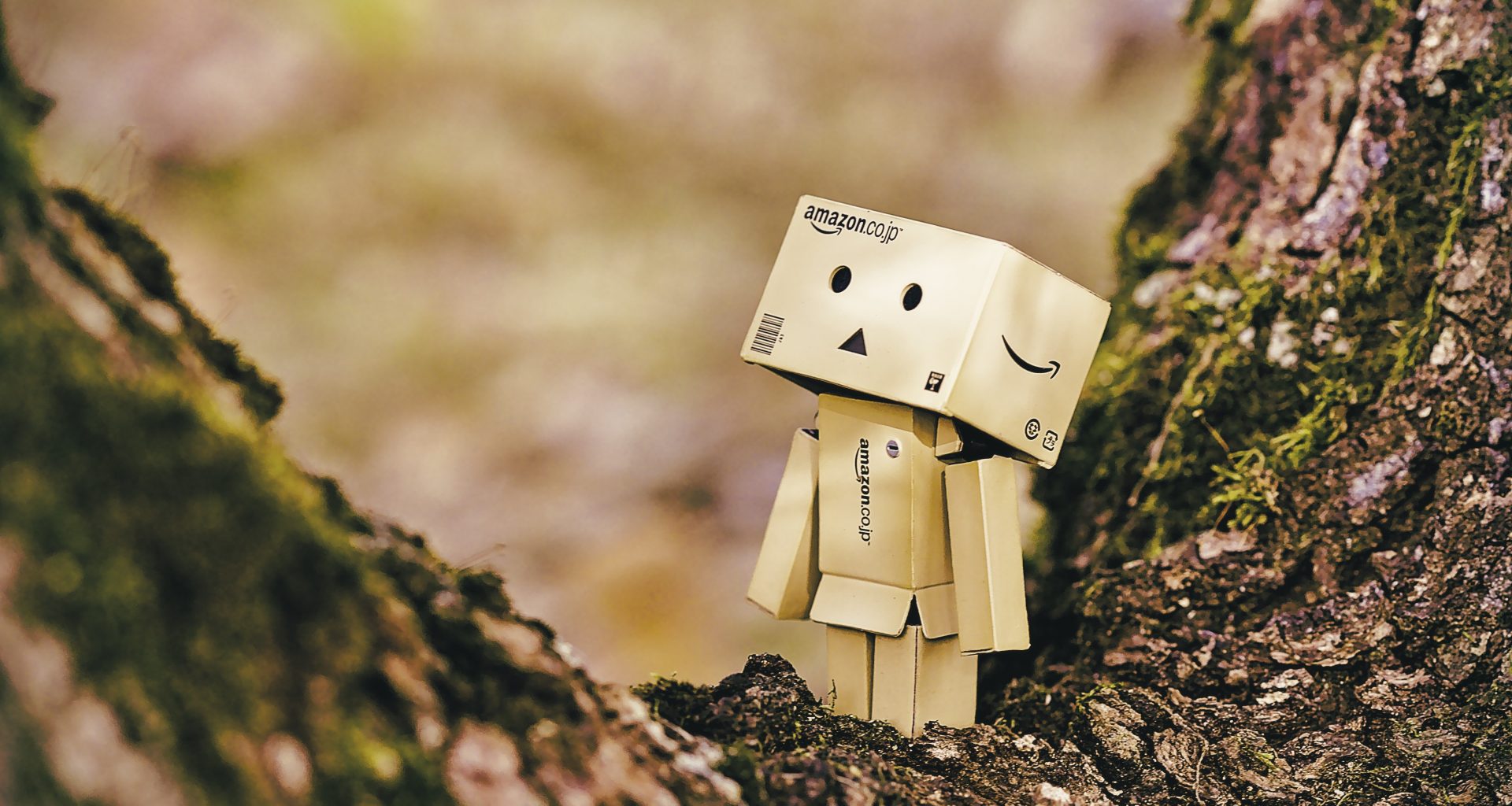 cardboard robot toy on wooden tree