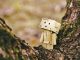 cardboard robot toy on wooden tree