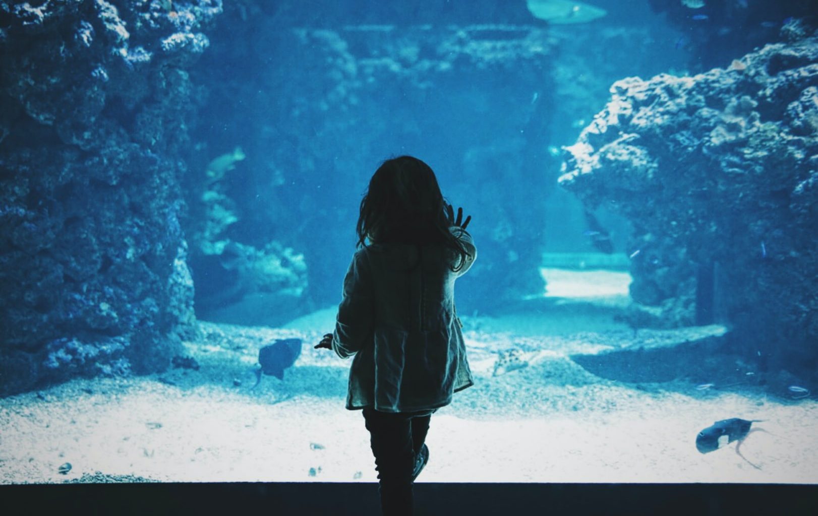 toddler girl touching glass tank